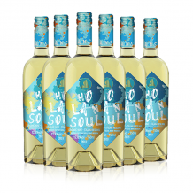 贺兰神酒庄 890有机雷司令干白葡萄酒750ml*6瓶 宁夏贺兰山东麓