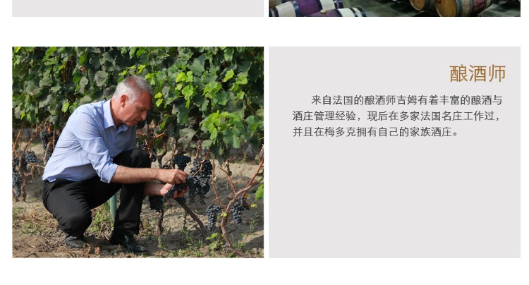 isc_20190404_1554349591_5ca57e17a0888.jpg