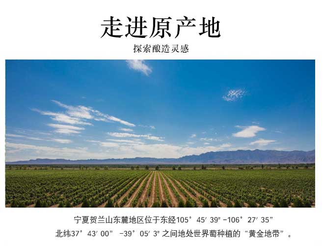 isc_20230404_1680574957_642b89ed2b680.jpg