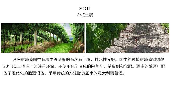 isc_20230404_1680574991_642b8a0f92f0c.jpg