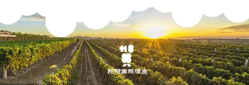 isc_20240403_1712138501_660d290578182.gif