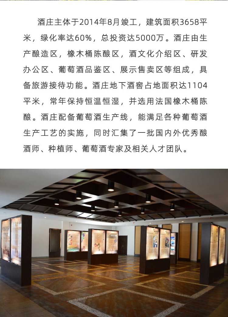 isc_20250212_1739331389_67ac173d1409a.jpg
